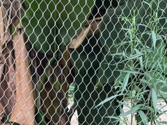 Stainless Steel Rope Mesh Netting Metal Wire Mesh Ferrule Zoo Mesh Cấu trúc lưới hình kim cương