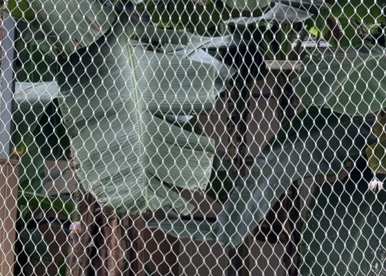 Rhomboid Hole Zoo Rope Mesh Stainless Steel Flexible Ferroled Cho các ổ cắm động vật