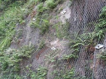 Lưới lục giác mạ kẽm hình lục giác cho ngân hàng / bảo vệ núi